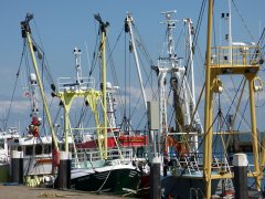 Hafen_Hooksiel_4.jpg